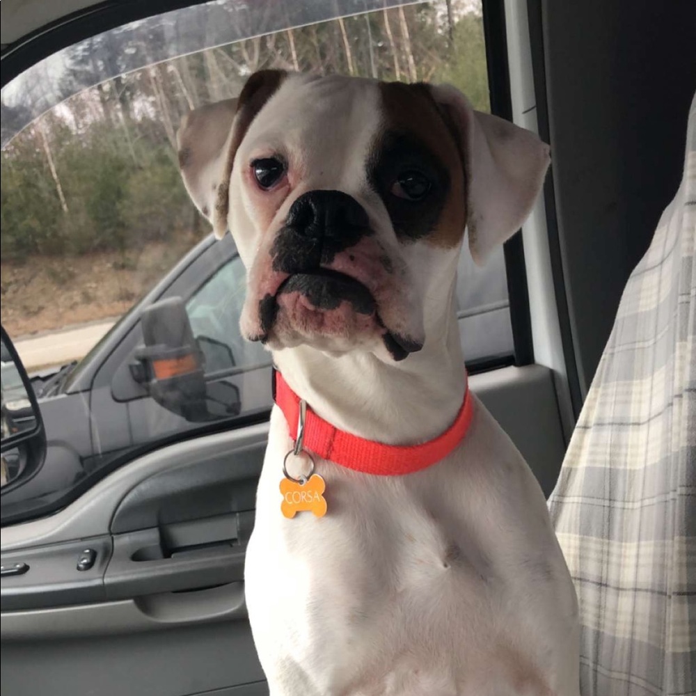 Meet your Posher, Taylor